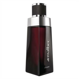Perfume-Masculino-Malbec-Tradicional-100ml – Shop do Zap Campo Grande